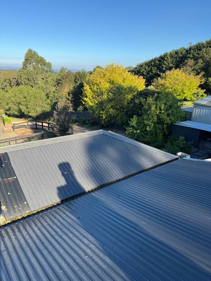 Expert roof repairs and maintenance on residential property